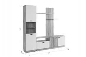 МОДИ К1 Гостиная (белое дерево) в Сысерти - sysert.ok-mebel.com | фото 2