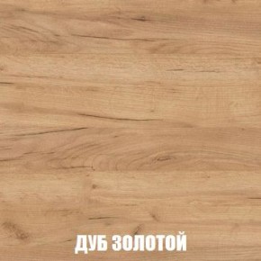 МСП-1 Шкаф 2-х створчатый (Дуб Золотой/Камень темный) в Сысерти - sysert.ok-mebel.com | фото 4