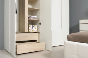 Муссон Шкаф двухстворчатый 13.198 в Сысерти - sysert.ok-mebel.com | фото 3