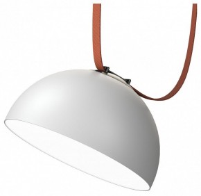 Накладной светильник Denkirs Belty Flow DK5562-WH+BK в Сысерти - sysert.ok-mebel.com | фото