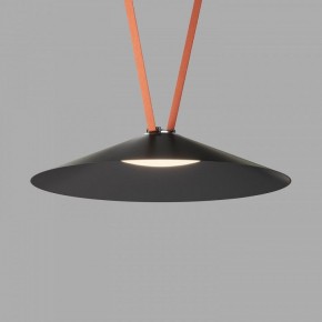 Накладной светильник Denkirs Belty Flow DK5569-BK в Сысерти - sysert.ok-mebel.com | фото