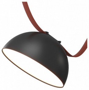 Накладной светильник Denkirs Belty Flow DK5660-BK в Сысерти - sysert.ok-mebel.com | фото