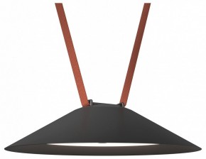 Накладной светильник Denkirs Belty Flow DK5664-BK в Сысерти - sysert.ok-mebel.com | фото