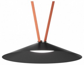 Накладной светильник Denkirs Belty Flow DK5668-BK в Сысерти - sysert.ok-mebel.com | фото