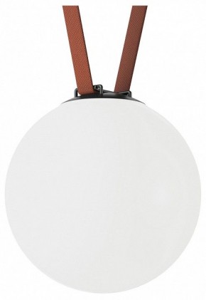 Накладной светильник Denkirs Belty Orb DK5554-BK в Сысерти - sysert.ok-mebel.com | фото