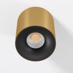 Накладной светильник Elektrostandard Primo 25116/LED в Сысерти - sysert.ok-mebel.com | фото 2