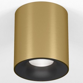 Накладной светильник Elektrostandard Primo 25116/LED в Сысерти - sysert.ok-mebel.com | фото 2