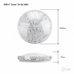 Накладной светильник Эра Классик SPB-6-24-4K (C) в Сысерти - sysert.ok-mebel.com | фото 6