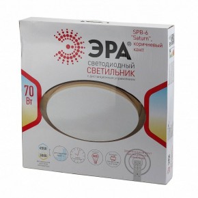 Накладной светильник Эра Классик SPB-6-70-RC Saturn (B) в Сысерти - sysert.ok-mebel.com | фото 3