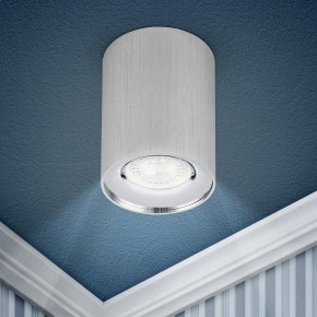 Накладной светильник Эра  OL1 GU10 SL/CH в Сысерти - sysert.ok-mebel.com | фото 3