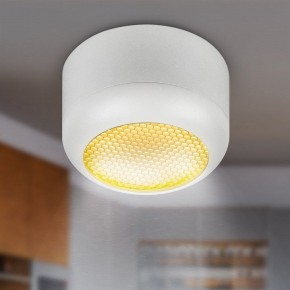 Накладной светильник Эра  OL56 WH в Сысерти - sysert.ok-mebel.com | фото 8