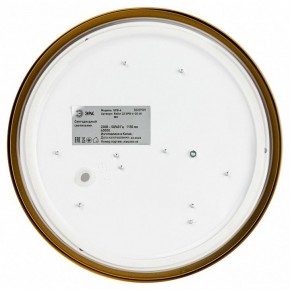 Накладной светильник Эра Relict Relict 22 SPB-6-20 4К MG в Сысерти - sysert.ok-mebel.com | фото 4