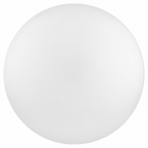 Накладной светильник Эра Relict Relict 22 SPB-6-20 4К WH в Сысерти - sysert.ok-mebel.com | фото 2