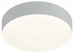 Накладной светильник Эра Relict Relict 22 SPB-6-20 4К WH в Сысерти - sysert.ok-mebel.com | фото 5