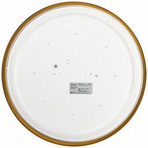 Накладной светильник Эра Relict Relict 38 SPB-6-40 4К MG в Сысерти - sysert.ok-mebel.com | фото 3