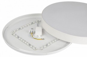 Накладной светильник Эра Relict Relict 38 SPB-6-40 4К WH в Сысерти - sysert.ok-mebel.com | фото 7