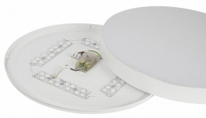 Накладной светильник Эра Relict Relict 48 Pult SPB-6-60-RC WH в Сысерти - sysert.ok-mebel.com | фото 11