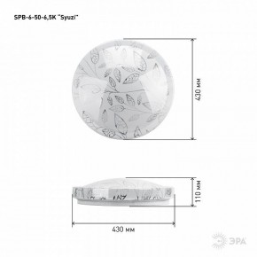 Накладной светильник Эра Relict SPB-6-50-6,5K Syuzi в Сысерти - sysert.ok-mebel.com | фото 3