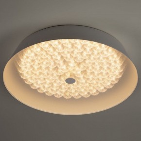 Накладной светильник Эра  SPB-6-60-RC Locus RGB в Сысерти - sysert.ok-mebel.com | фото 6