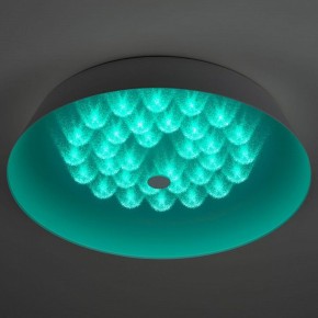 Накладной светильник Эра  SPB-6-60-RC Locus RGB в Сысерти - sysert.ok-mebel.com | фото 8