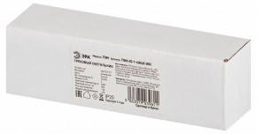 Накладной светильник Эра  TRM-S5-1-6W4K-WH в Сысерти - sysert.ok-mebel.com | фото 6