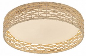 Накладной светильник F-promo Conrad 4749-4C в Сысерти - sysert.ok-mebel.com | фото 2