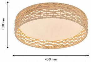 Накладной светильник F-promo Conrad 4749-4C в Сысерти - sysert.ok-mebel.com | фото 3