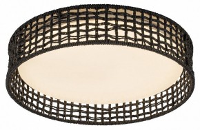 Накладной светильник F-promo Conrad 4750-4C в Сысерти - sysert.ok-mebel.com | фото 2