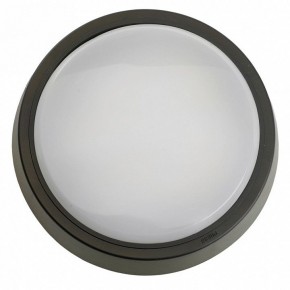 Накладной светильник Feron AL3020 51473 в Сысерти - sysert.ok-mebel.com | фото 4