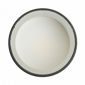 Накладной светильник Feron ML100 51369 в Сысерти - sysert.ok-mebel.com | фото 8