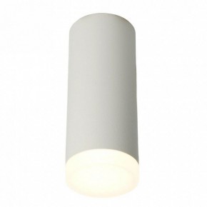Накладной светильник Feron ML102 51389 в Сысерти - sysert.ok-mebel.com | фото 2