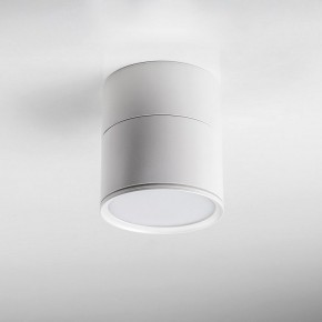 Накладной светильник Lightstar Acuto 215886 в Сысерти - sysert.ok-mebel.com | фото 3