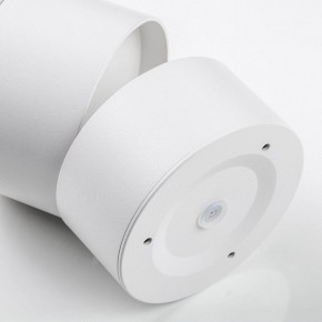 Накладной светильник Lightstar Acuto 215886 в Сысерти - sysert.ok-mebel.com | фото 6