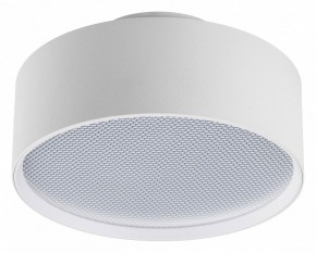 Накладной светильник Lightstar Acuto 215946 в Сысерти - sysert.ok-mebel.com | фото 2