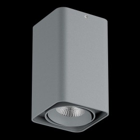 Накладной светильник Lightstar Monocco 052139-IP65 в Сысерти - sysert.ok-mebel.com | фото 2