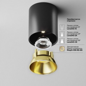 Накладной светильник Maytoni Alfa LED C064CL-12W4K-RD-B в Сысерти - sysert.ok-mebel.com | фото 3