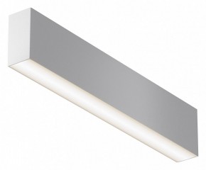 Накладной светильник Maytoni Basis C068CL-20W3-6K-W в Сысерти - sysert.ok-mebel.com | фото