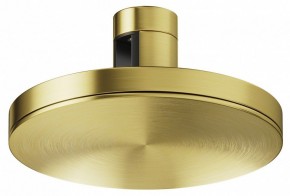 Накладной светильник Maytoni Plato TR152-1-7W4K-BS в Сысерти - sysert.ok-mebel.com | фото