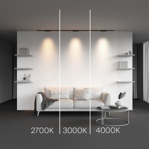 Накладной светильник Maytoni Points TR193-1-10W2.7K-M-B в Сысерти - sysert.ok-mebel.com | фото 2