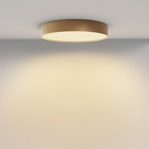 Накладной светильник Maytoni Zon C032CL-45W2.7K-RD-MG в Сысерти - sysert.ok-mebel.com | фото 4
