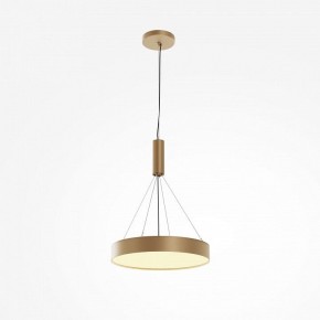 Накладной светильник Maytoni Zon C032CL-45W2.7K-RD-MG в Сысерти - sysert.ok-mebel.com | фото 5