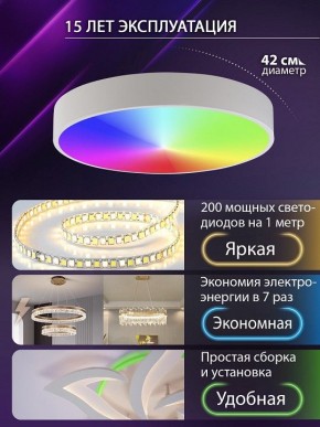 Накладной светильник Natali Kovaltseva MODERN LED LAMPS 81105/1C в Сысерти - sysert.ok-mebel.com | фото 6