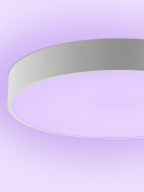Накладной светильник Natali Kovaltseva MODERN LED LAMPS 81105/1C в Сысерти - sysert.ok-mebel.com | фото 9