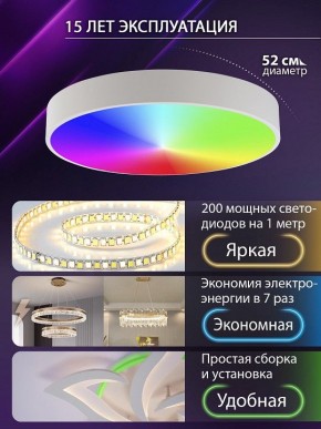 Накладной светильник Natali Kovaltseva MODERN LED LAMPS 81105/2C в Сысерти - sysert.ok-mebel.com | фото 6