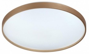 Накладной светильник Sonex Gaby 7783/EL в Сысерти - sysert.ok-mebel.com | фото 4