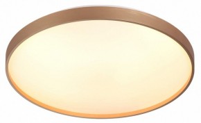 Накладной светильник Sonex Gaby 7783/EL в Сысерти - sysert.ok-mebel.com | фото 5