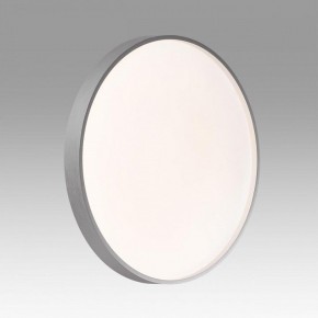 Накладной светильник Sonex Gaby 7784/DL в Сысерти - sysert.ok-mebel.com | фото 2