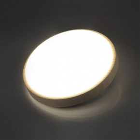 Накладной светильник Sonex Losta 7607/AL в Сысерти - sysert.ok-mebel.com | фото 3