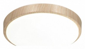 Накладной светильник Sonex Losta 7607/CL в Сысерти - sysert.ok-mebel.com | фото 4