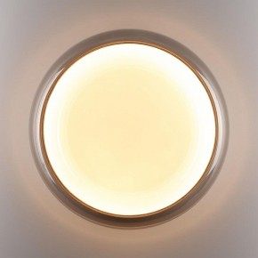 Накладной светильник Sonex PORTMAN 7777/DLN в Сысерти - sysert.ok-mebel.com | фото 6